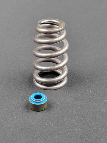.650" Valve Spring Kit for 5.7 Eagle Gen 3 Hemi ('09+)
